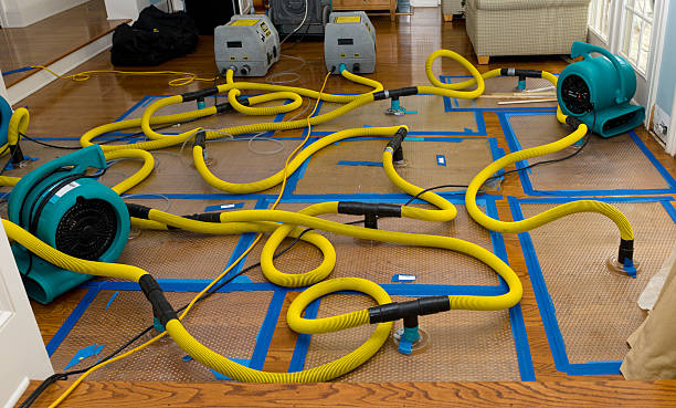 Professional Emergency Water Removal technician working in Garrettsville, OH